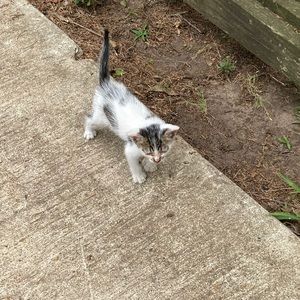 Meet your Posher, Anabel